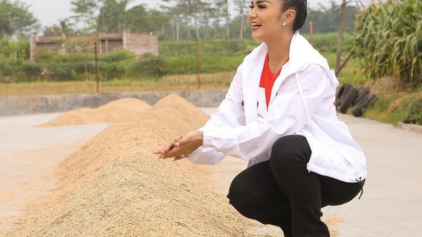 Mengintip Krisdayanti Saat Panen Padi hingga Blusukan ke Pasar