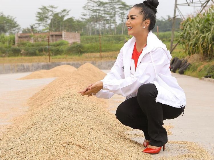 Mengintip Krisdayanti Saat Panen Padi hingga Blusukan ke Pasar
