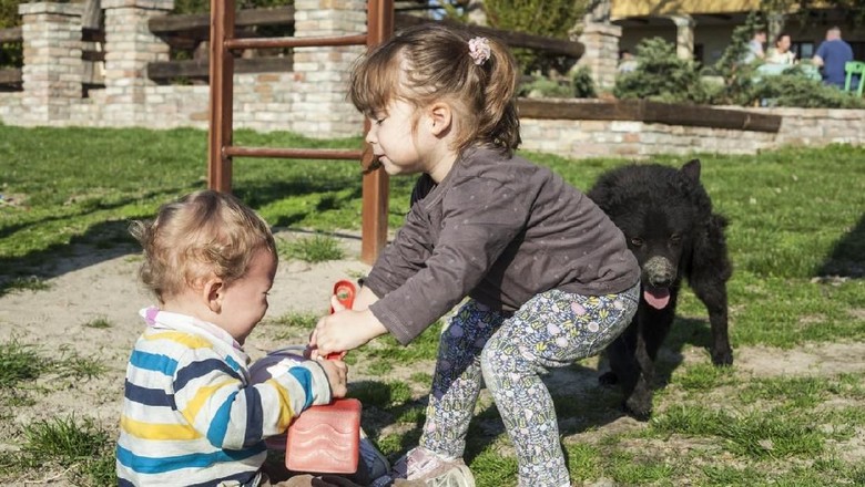 Ilustrasi kakak dan adik berebutan mainan/ Foto: iStock Ilustrasi kakak dan adik berebutan mainan/ Foto: iStock