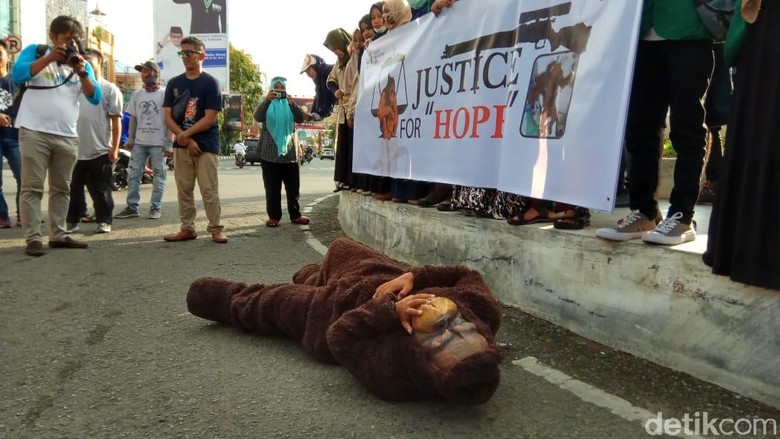 Pakai Topeng Orang Utan, Aktivis di Aceh Kecam Penembak Hope Pakai Topeng Orang Utan, Aktivis di Aceh Kecam Penembak Hope
