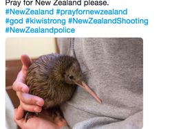 Ilustrasi Menyentuh dari Netizen buat New Zealand