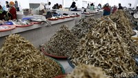 Nantinya, TPI ini juga akan menjadi kawasan komersial terpadu dengan sejumlah fasilitas. Seperti fasilitas parkir untuk 50 unit kendaraan, ATM, serta kegiatan yang akan digelar setiap minggu untuk menarik bagi pengunjung dan masyarakat seperti festival ikan, kuliner Labuan Bajo, dan aktivitas lainnya.