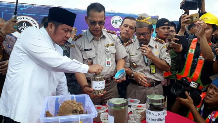 Foto: Raja Adil Siregar/detikcom Foto: Raja Adil Siregar/detikcom