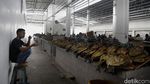 Megahnya TPI Baru Labuan Bajo yang Mulai Beroperasi