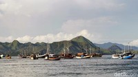 Labuan Bajo memiliki arti tempat berlabuhnya Suku Bajo. Suku Bajo berasal dari Sulawesi. Mereka dikenal sebagai pelaut ulung (Dikhy Sasra/detikcom)  