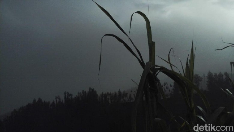 Abu Vulkanik Bromo Mengarah ke Pasuruan, Warga Butuh Masker Abu Vulkanik Bromo Mengarah ke Pasuruan, Warga Butuh Masker