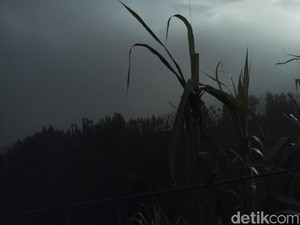 Abu Vulkanik Bromo Mengarah ke Pasuruan, Warga Butuh Masker