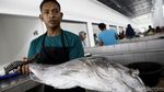Megahnya TPI Baru Labuan Bajo yang Mulai Beroperasi