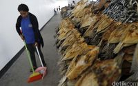 Tempat Pelelangan Ikan di Labuan Bajo Mau Tiru Tsukiji