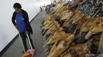 Megahnya TPI Baru Labuan Bajo yang Mulai Beroperasi