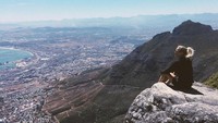 Selain ke pantai, selama di Cape Town, Afrika Selatan Sarah juga hiking ke Table Mountain. Wih, pemandangannya keren juga ya! (Instagram/@sarahwbro)