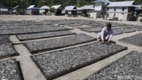 Mustamin (51) merupakan seorang nelayan yang tinggal di Pulau Rinca. Kesehariannya memproduksi ikan kering dan asin yang dijemur di halaman depan rumahnya.