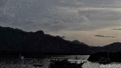 Foto Senja Diiringi Jutaan Kalong di Langit NTT