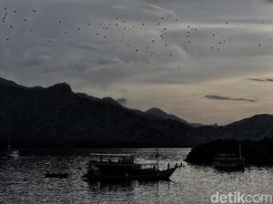 Foto Senja Diiringi Jutaan Kalong di Langit NTT