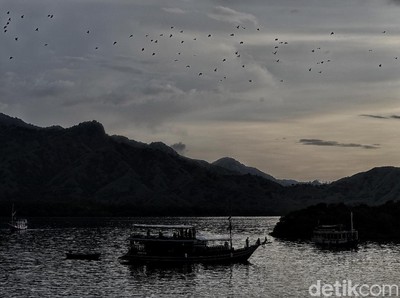 Foto Senja Diiringi Jutaan Kalong di Langit NTT