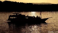 Pulau ini menjadi tempat bersarangnya ribuan kelelawar yang memiliki ukuran yang sangat bervariasi, dari yang besar hingga yang berukuran kecil (Dikhy Sasra/detikcom)