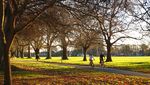 Foto: Christchurch yang Indah Tapi Sedang Berduka
