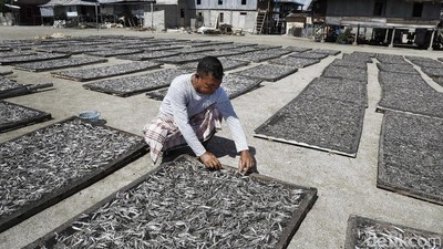 Nasabah BRI Menjemur Ikan Asin Hasil Tangkapan