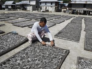 Nasabah BRI Menjemur Ikan Asin Hasil Tangkapan