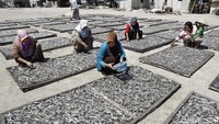 Usaha Mustamin ini makin berkembang berkat dukungan permodalan dari Bank BRI. Ibu-ibu tetangga Mustamin membantu menyiangi ikan yang sedang melimpah hasilnya.