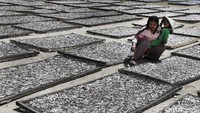 Puluhan tampah yang berisi ikan dijemur untuk dijual ke pasar Labuan Bajo hingga Mataram.