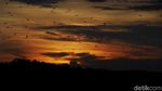 Foto Senja Diiringi Jutaan Kalong di Langit NTT