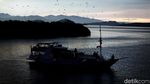 Foto Senja Diiringi Jutaan Kalong di Langit NTT
