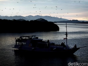 Catat! Menyalakan Petasan di TN Komodo Haram Hukumnya