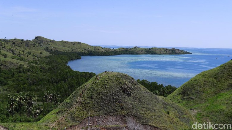 Foto: Labuan Bajo (Dikhy Sasra/detikcom) Foto: Labuan Bajo (Dikhy Sasra/detikcom)