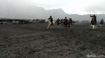 Foto: Balapan Kuda di Gunung Bromo, Seru!