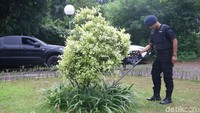 Patroli keliling kawasan hotel juga dilakukan petugas.