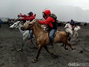 Sepi Job, Ojek Kuda Adu Balapan di Gunung Bromo