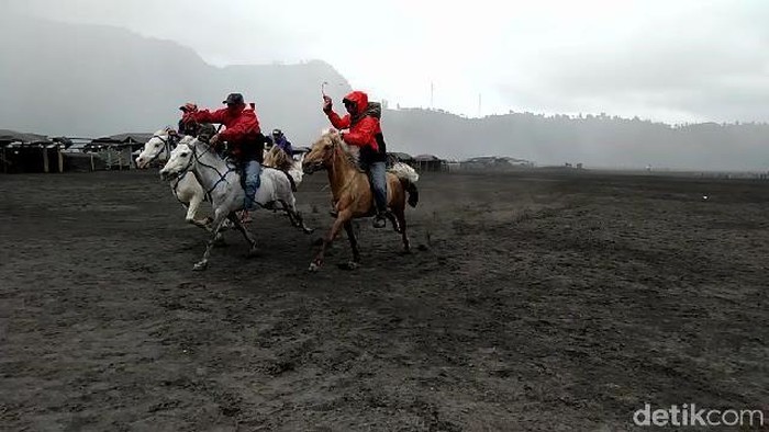 Pacuan ojek kuda di bromo