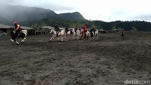 Sepi Job, Ojek Kuda Adu Balapan di Gunung Bromo