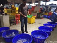 Serunya Berwisata ke Pasar Tsukiji Versi Indonesia di Muara Baru