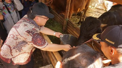 Menteri Bappenas Tinjau Peternakan Sapi