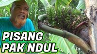 Bikin Lapar dan Menghibur! Ini Aksi 5 Food Vlogger yang Kocak