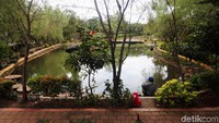 Pepohonan yang asri membuat taman menjadi lebih sejuk dan segar saat pagi hari.