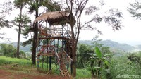Rangkaian itu membentuk gerbang unik, dinosaurus dan rumah kurcaci hingga rumah panggung (Aji Kusuma/detikTravel)