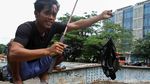 Aksi Warga Ramai-ramai Mancing Ikan di Kali Gunung Sahari
