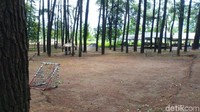 Di tengah hutan cemara juga terdapat lapangan sepakbola mini, cocok untuk arena bermain sang buah hati yang menyenangi aktivitas luar ruangan (Aji Kusuma/detikTravel)