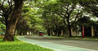 Alam Sutera Hadirkan Hunian Strategis dengan Arsitektur Modern Tropis