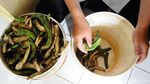 Wow! Kulit Pisang Disulap Jadi Kerupuk yang Lezat