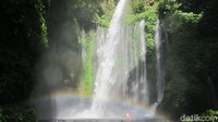 Mengenal air terjun Tiu Kelep lebih dekat, air terjun ini berlokasi di Desa Senaru, Kecamatan Bayan, Kabupaten Lombok Utara. Persisnya di kaki Gunung Rinjani, berdekatan dengan air terjun Sendang Gile (Afif Farhan/detikTravel)