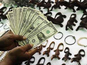 Semarak Penjual Souvernir di Pulau Komodo