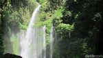 Foto: Keindahan Air Terjun Tiu Kelep yang Memakan Korban