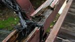 Asyik, Jembatan Kota Intan Bakal Dipercantik