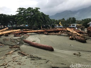 BNPB: Gunung Cycloop Jayapura Dirusak Jadi Permukiman