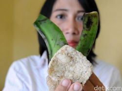 Wow! Kulit Pisang Disulap Jadi Kerupuk yang Lezat
