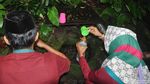 Foto: Mata Air Rasa Soda & Mitos Lancar Rejeki di Kudus